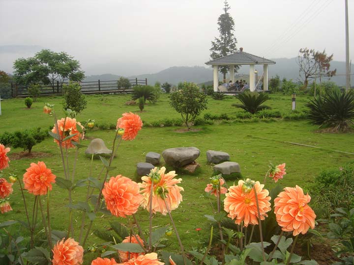鄉村旅游體驗視覺設計